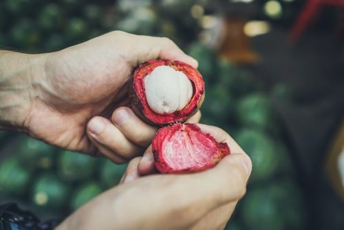 Mangosteen fruit มังคุด