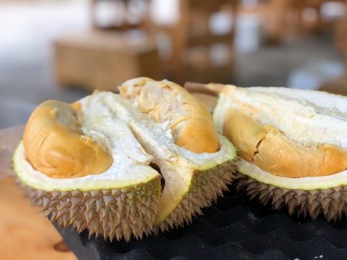 Durian Fruit ทุเรียน
