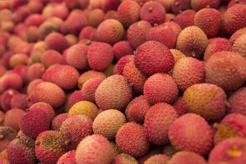 Lychee ลิ้นจี่