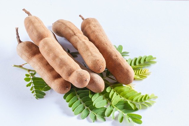 tamarind มะขาม