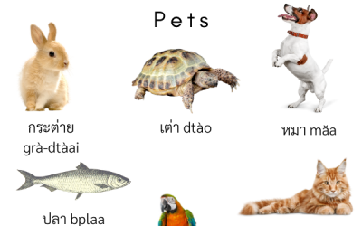 Complete list of Animals in Thai
