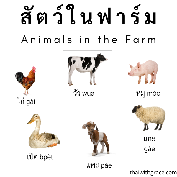 Complete list of Animals in Thai 1