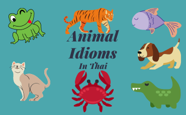 7 Most common Animal idioms in Thai | Part 1