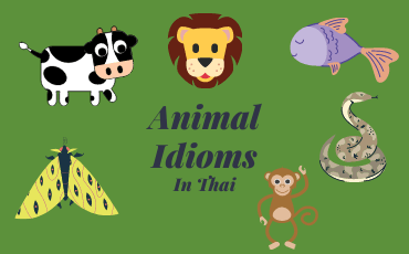 7 Most common Animal idioms in Thai | Part 3