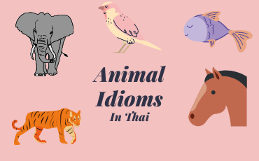 7 Most common Animal idioms in Thai | Part 2