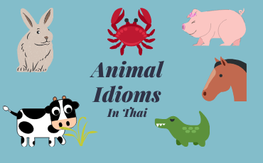 7 Most common Animal idioms in Thai | Part 4