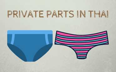 Private Parts in Thai (How to say penis and vagina)