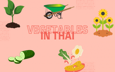 Garden words and vegetables in Thai